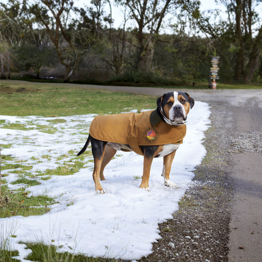 Carhartt® Custom Embroidered Dog Chore Coat - CTP0000505