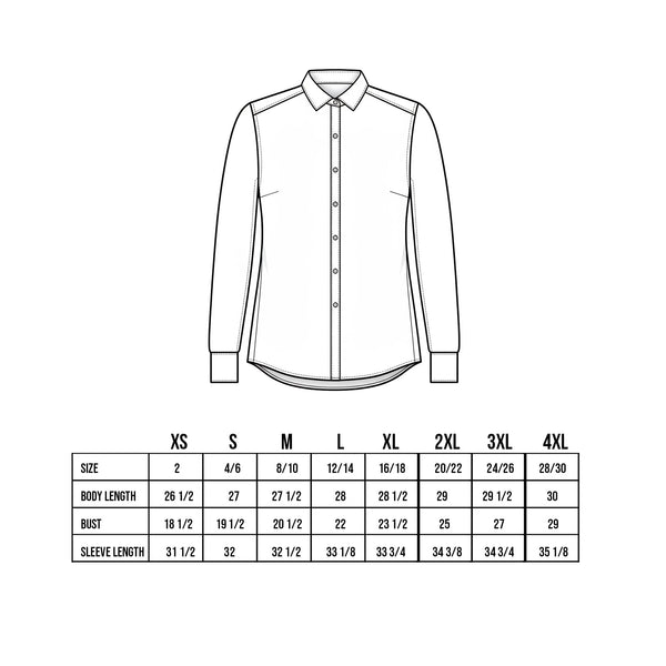 Brooks Brothers® Custom Embroidered Women’s Wrinkle-Free Stretch Nailhead Shirt - BB18003