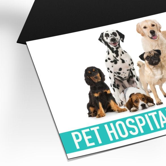 Magnet Business Cards - 2" x 3.5" (US Standard)